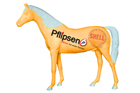 Pferd PFLIPSEN1